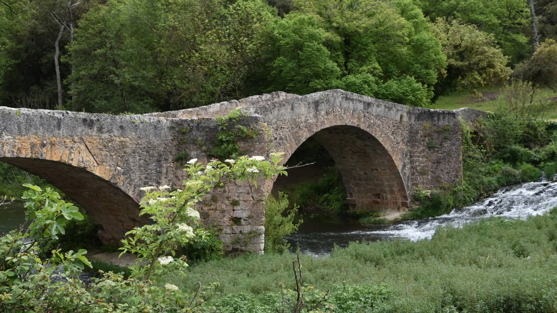 Pont en pierres avec 2 arcades entouré de végétation verdoyante et de la rivière du Caramy