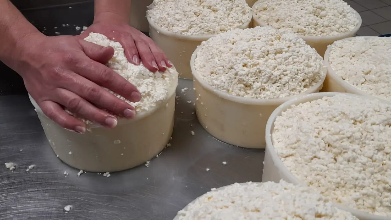 Le moulage du fromage et l’élimination du petit lait