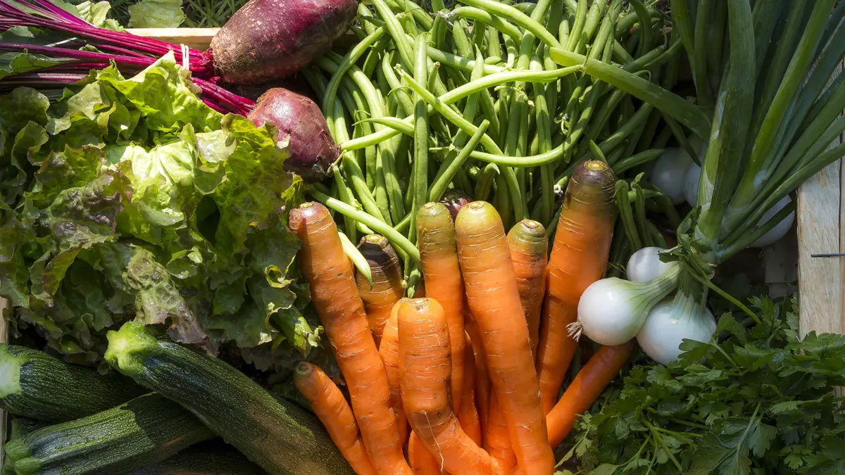 Mont'potager, La Motte-en-Champsaur