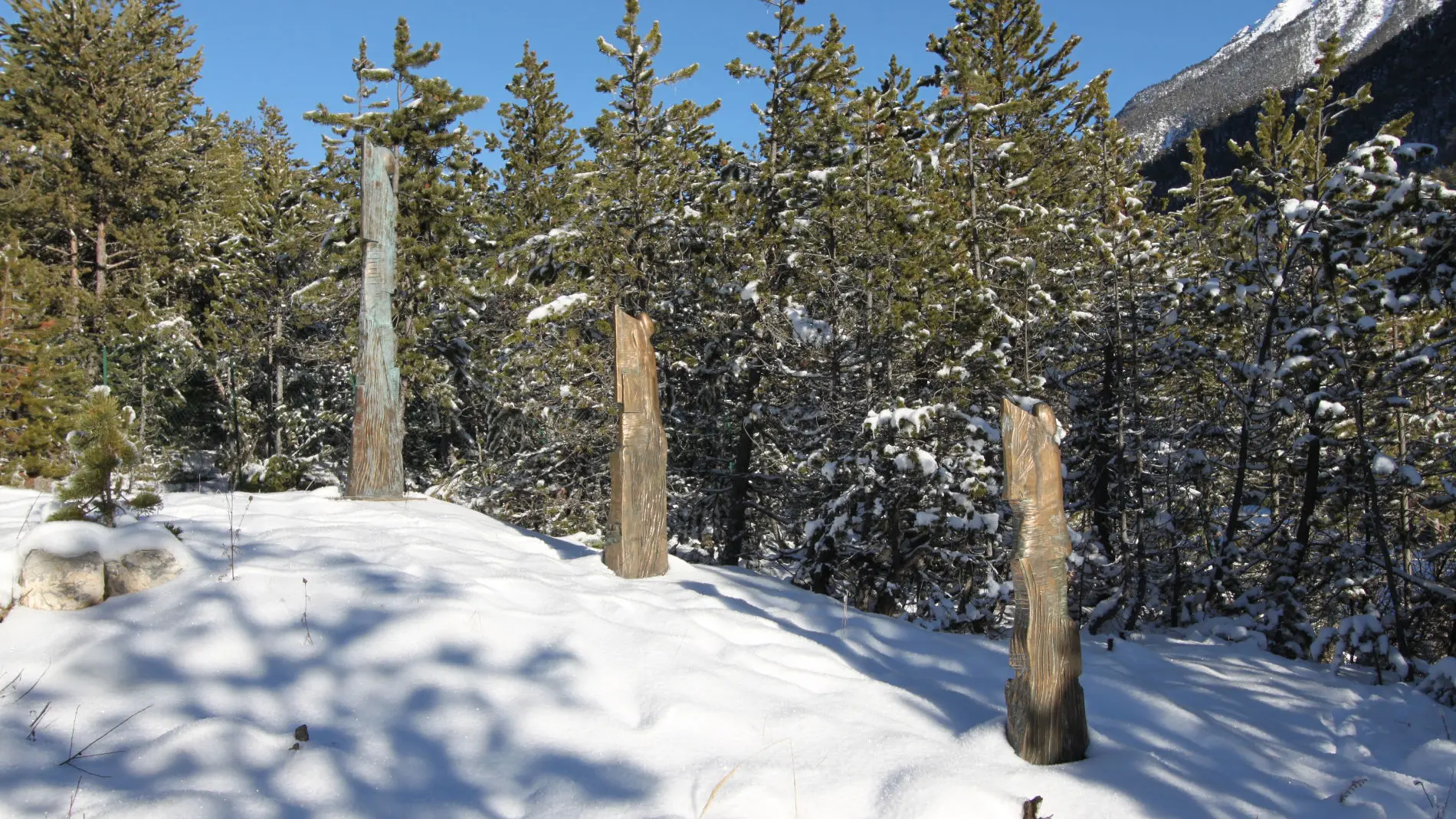 Installations porteurs mémoires