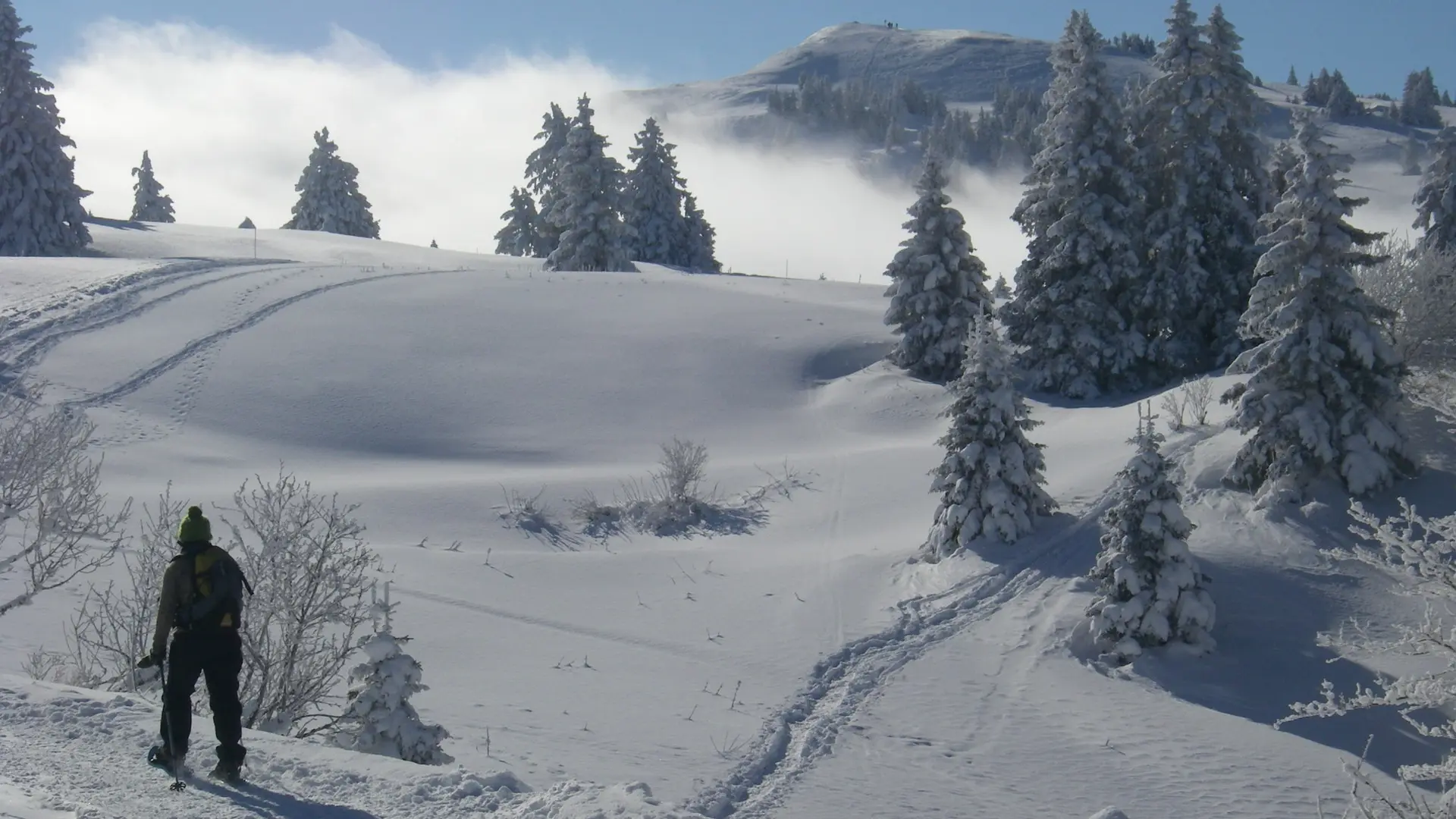 Col de la Faucille