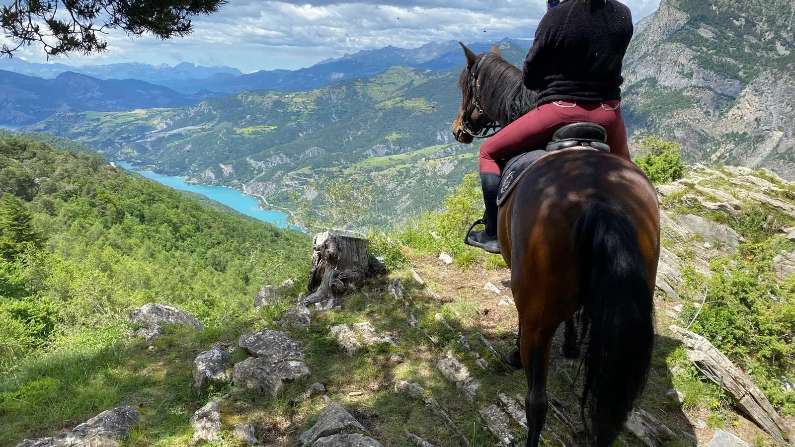 Enola et son cheval