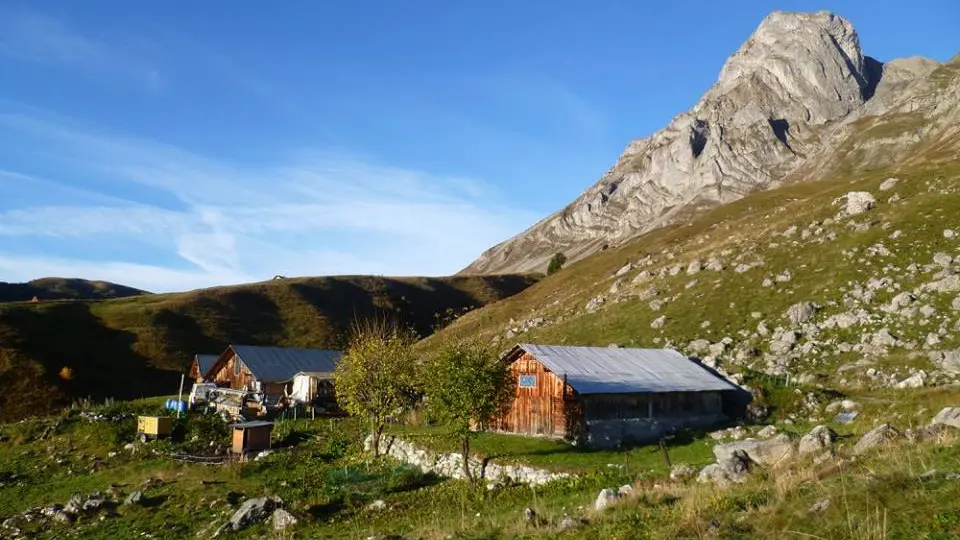 Les Armaillis de l'Alpage des Freddys