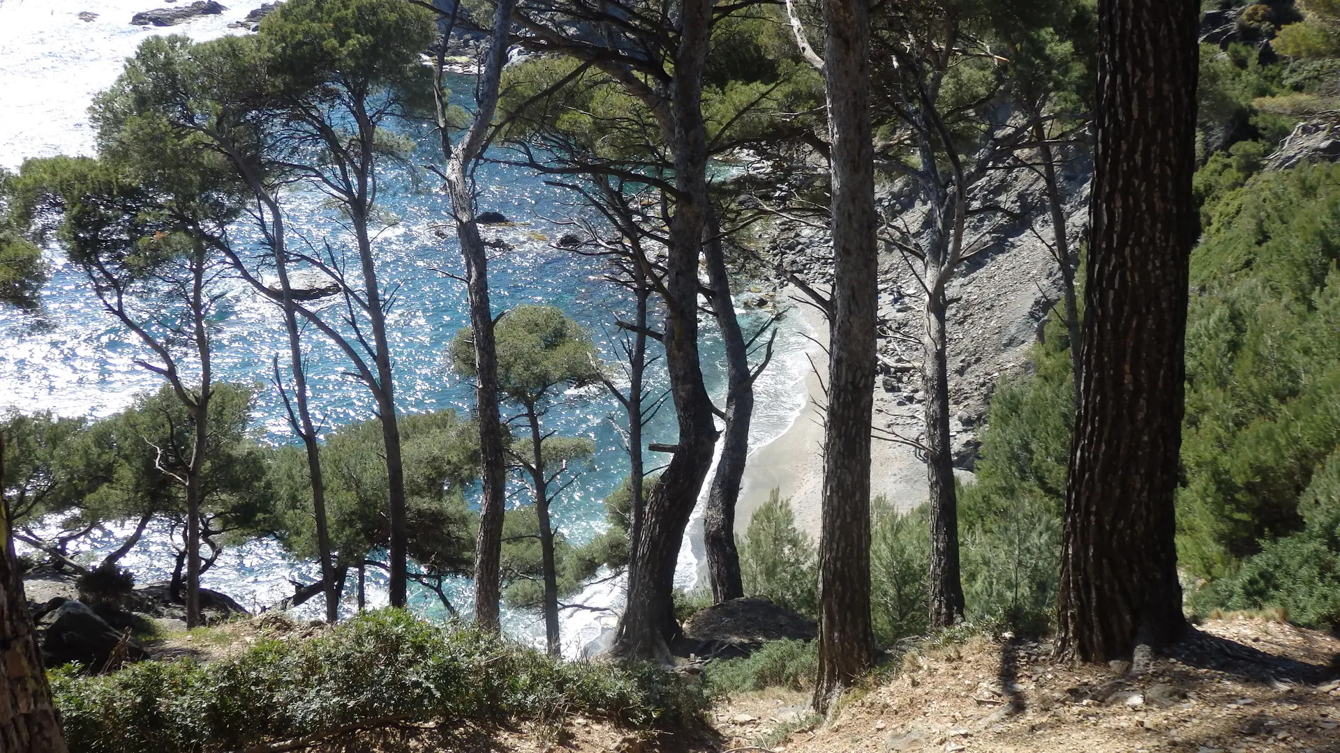 Studio dans une résidence - Le Brusc