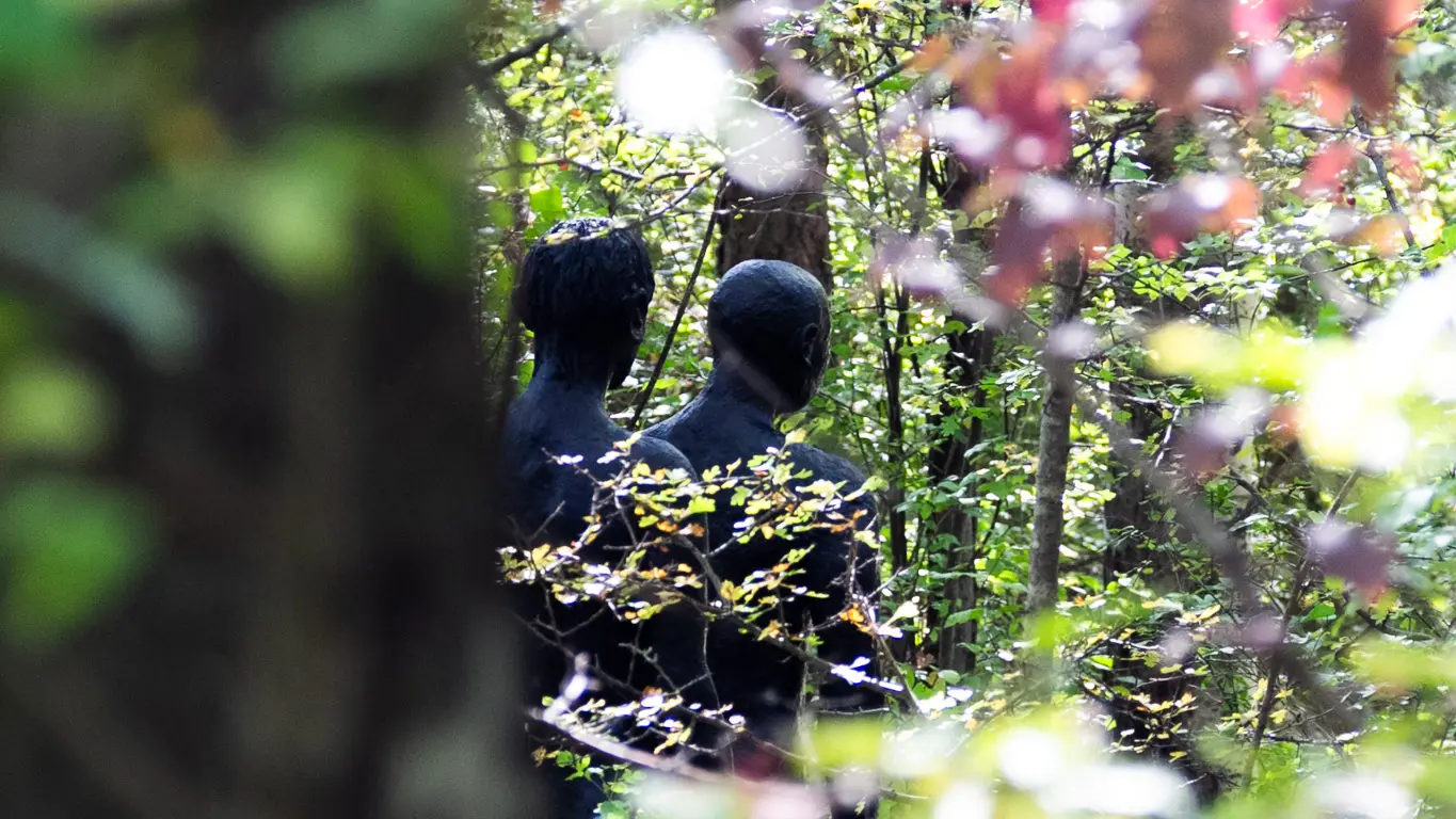 Oeuvre de Barbara Fougnon - Forêt d'Hommes