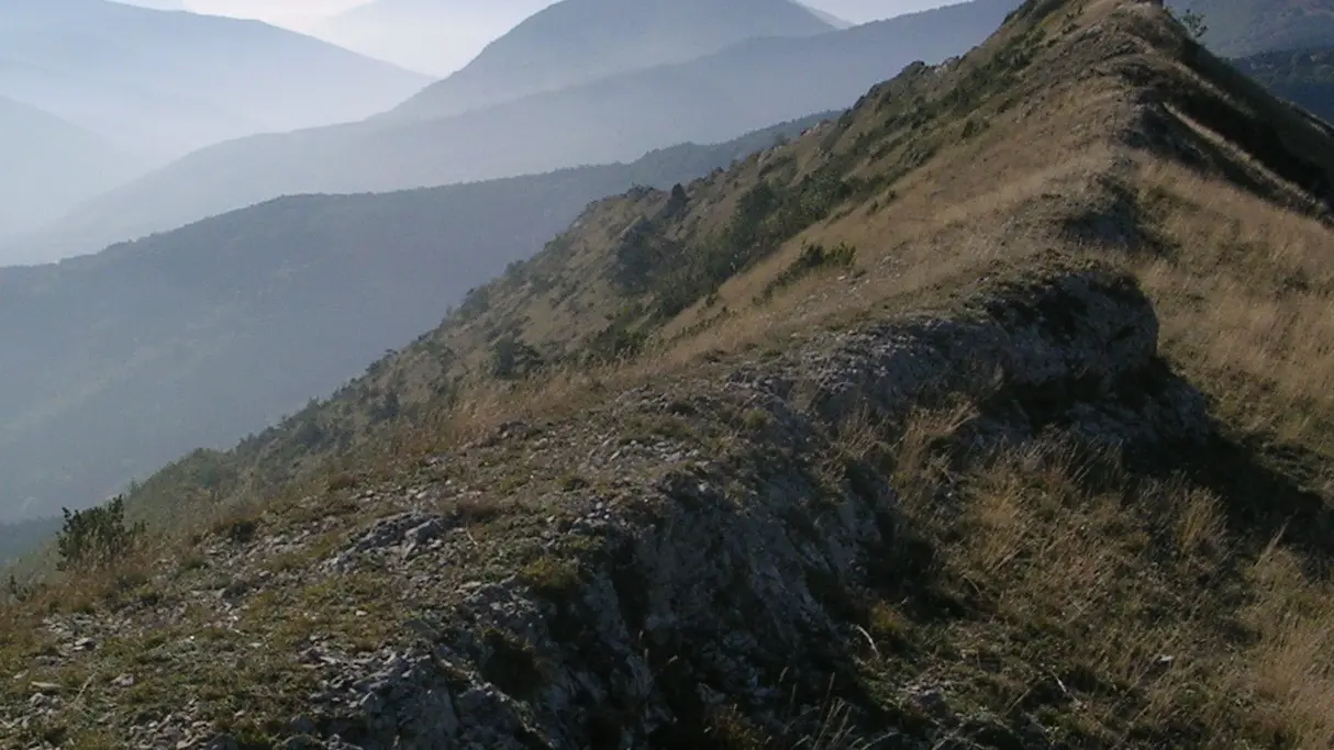 Dans le Beauchêne