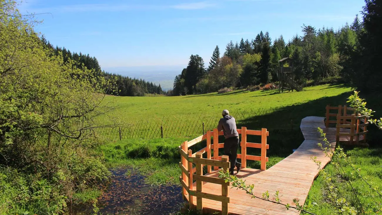 Gîte situé à 2 pas de l'Arboretum et Forêt des Grands Murcins, lieu de promenades, de découvertes, d'observations et d'études.
