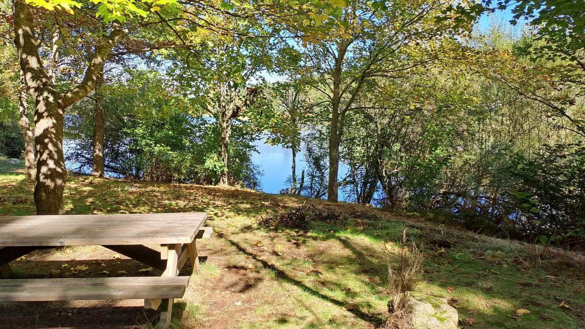 Une table de pique-nique au bord du plan d'eau