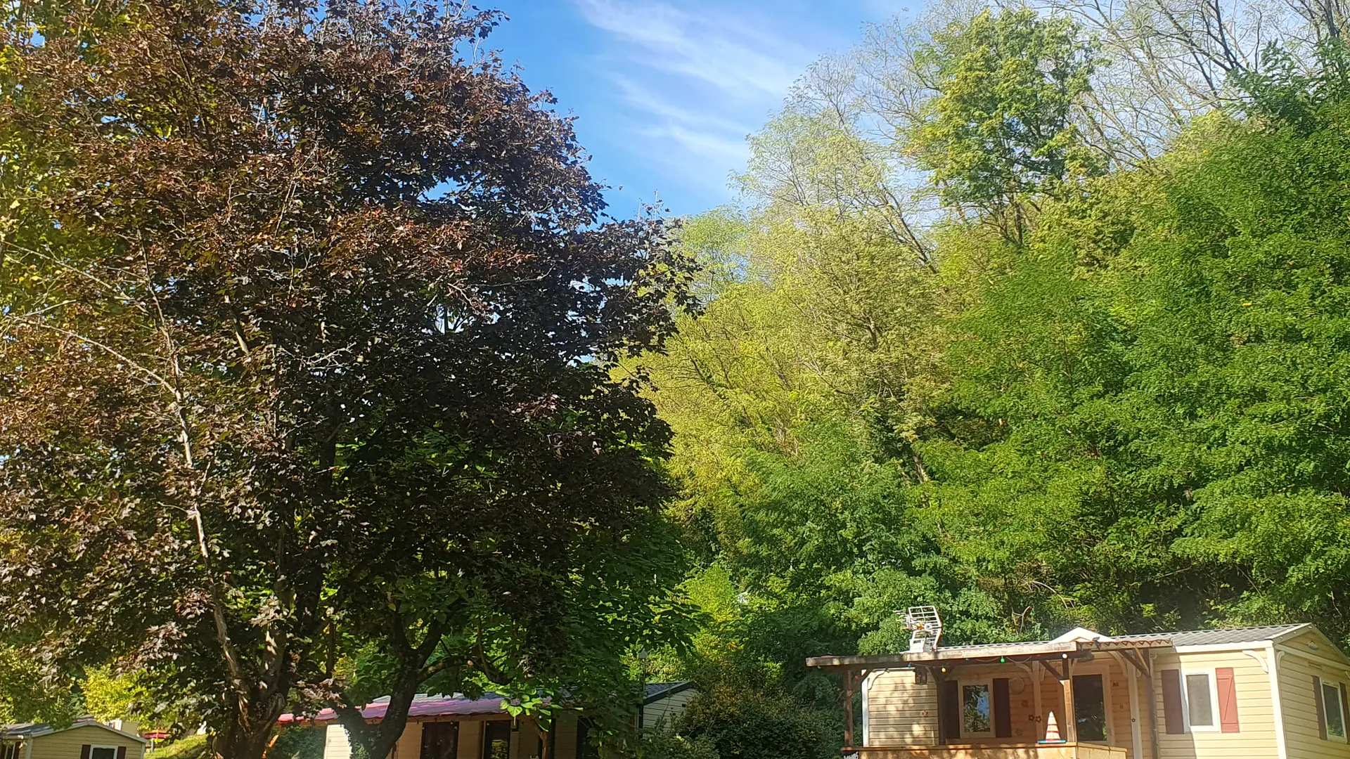 Le camping est situé dans un environnement naturel, avec des mobil-homes agencés dans un écrin de verdure.