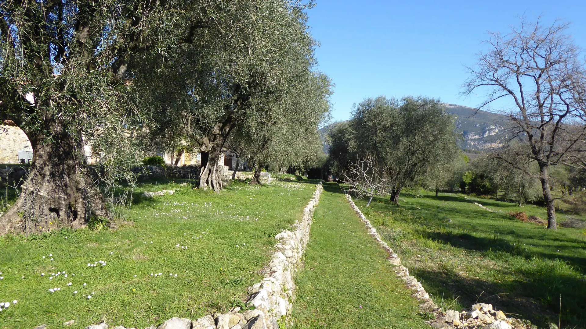 Gîte Bastide de la Rousoulina-Vue côté montagne-Le Rouret-Gîtes de France Alpes-Maritimes