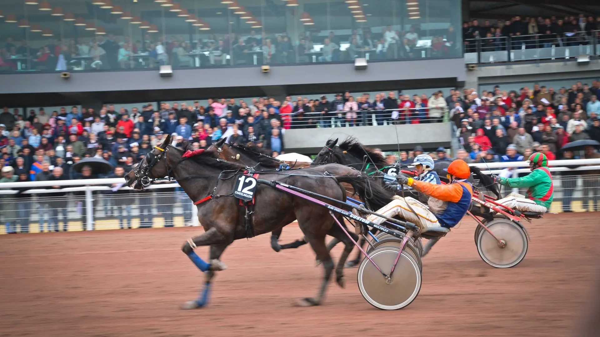 Courses de trot attelé à l'hippodrome de Châtelaillon-Plage