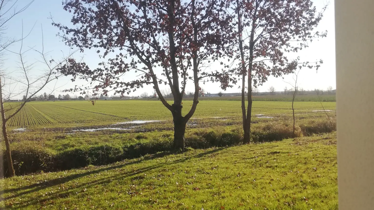 Vue jardin