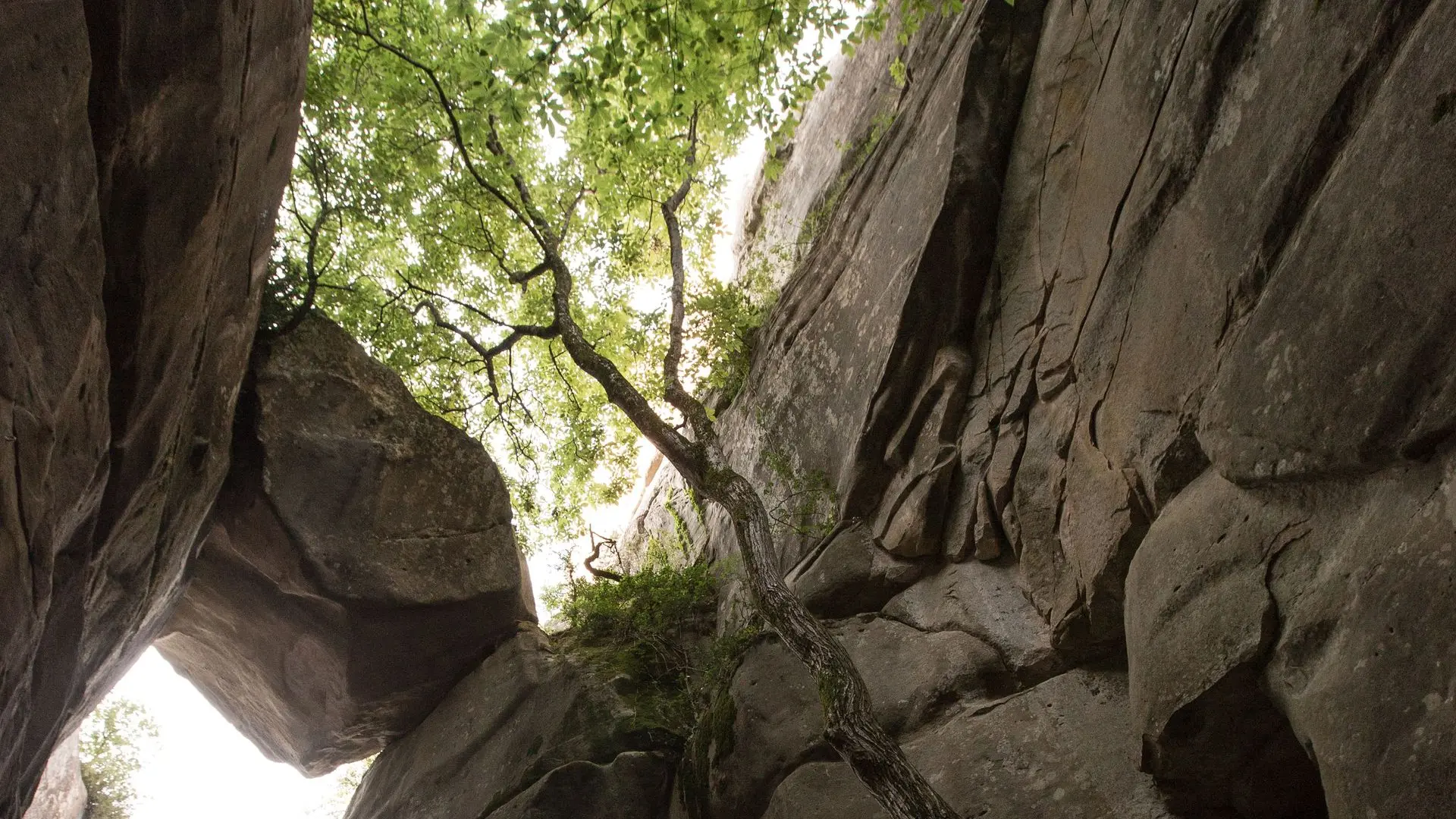 Sentier des grès d'Annot