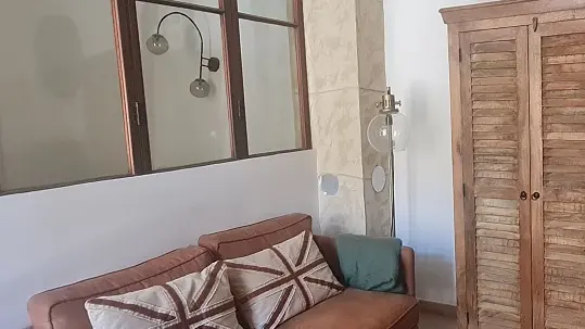 Les terrasses de l'Isle - Studio cosy avec terrasse_L'Isle-sur-la-Sorgue canapé