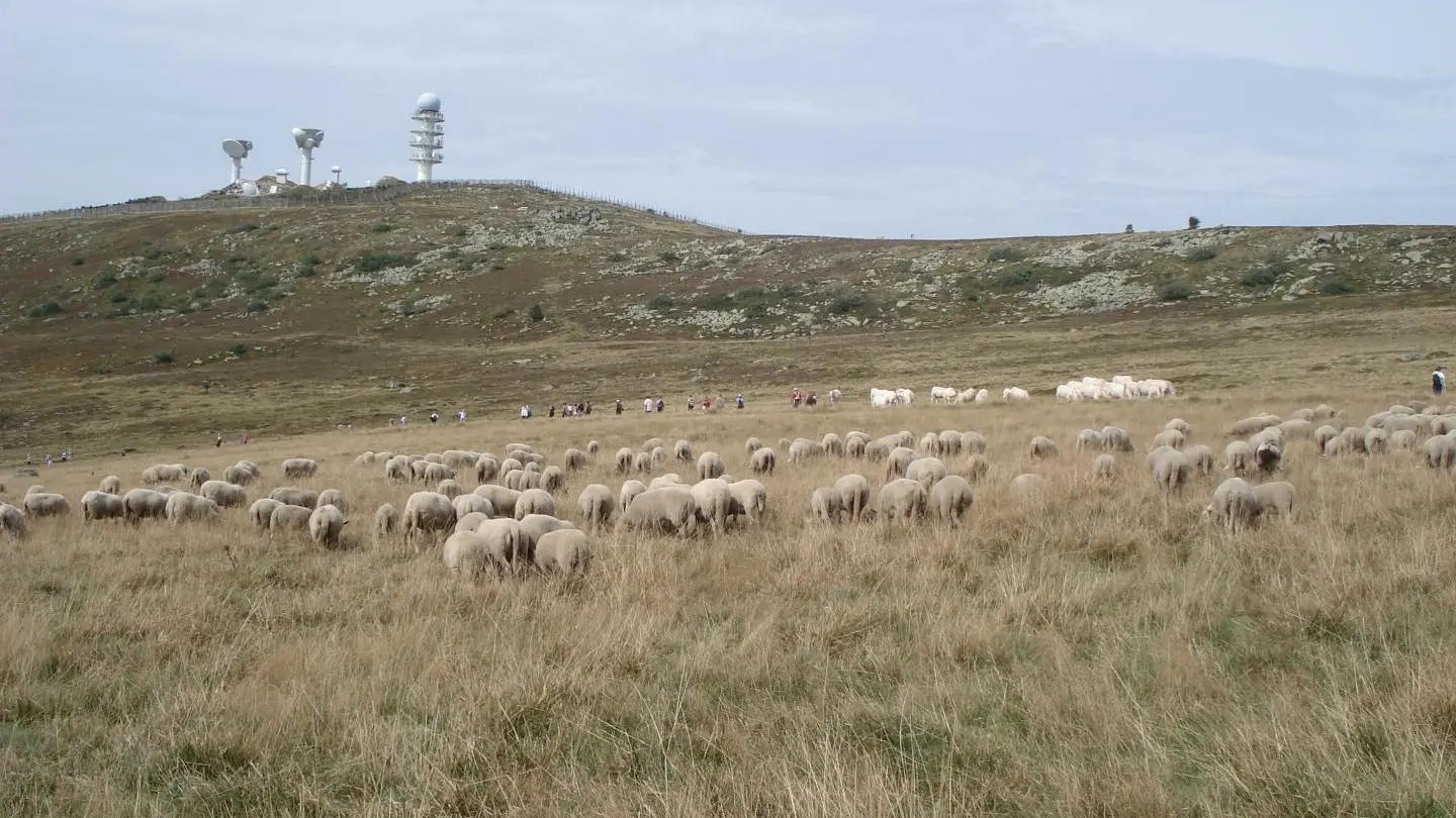 Idée de visite Pierre-sur-Haute  face au gîte à 40 km
 ( Chalmazel )