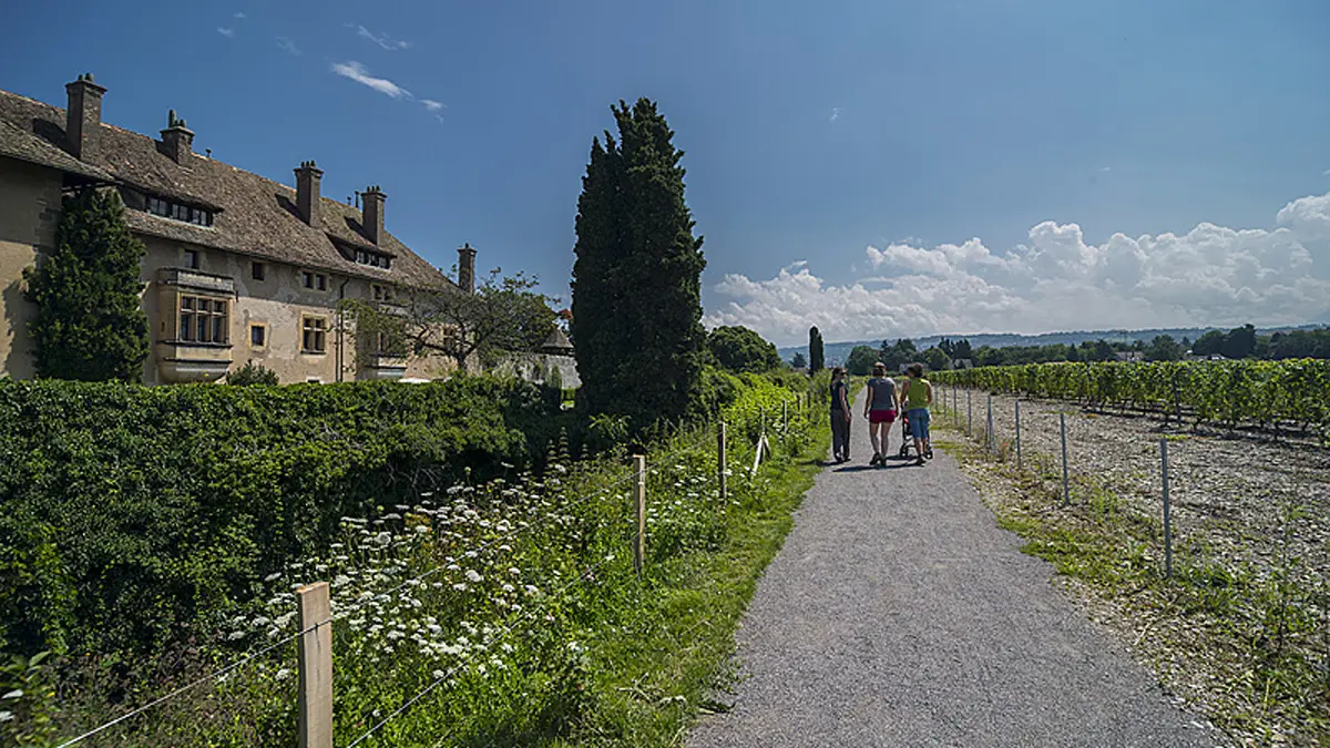 Géosite du château de Ripaille