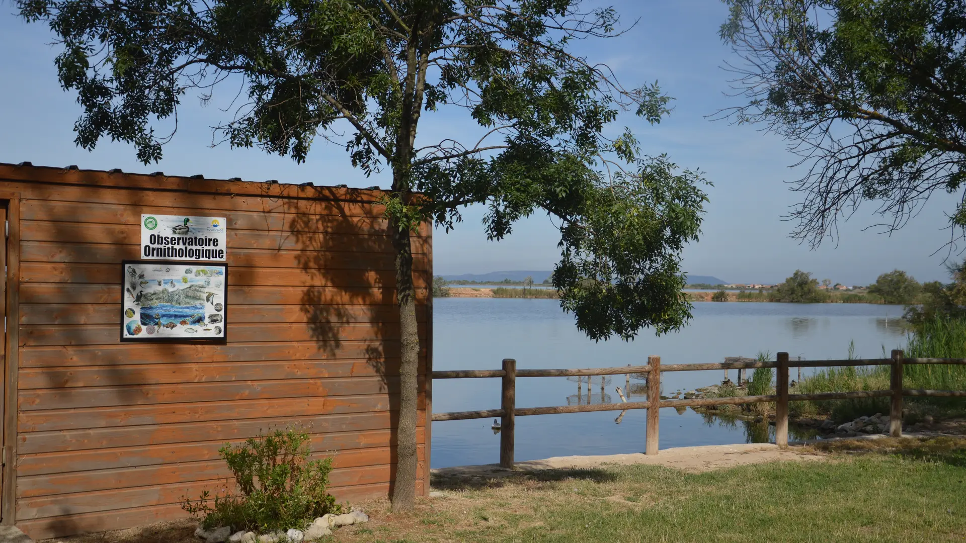 Observatoire d'oiseaux
