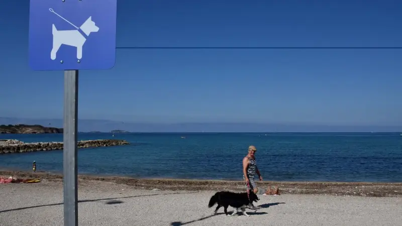 Plage de Bonnerâce