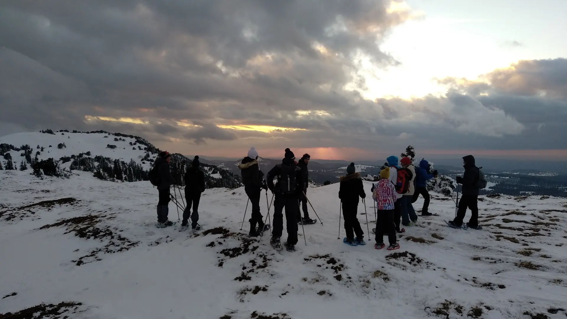 Observations des chamois