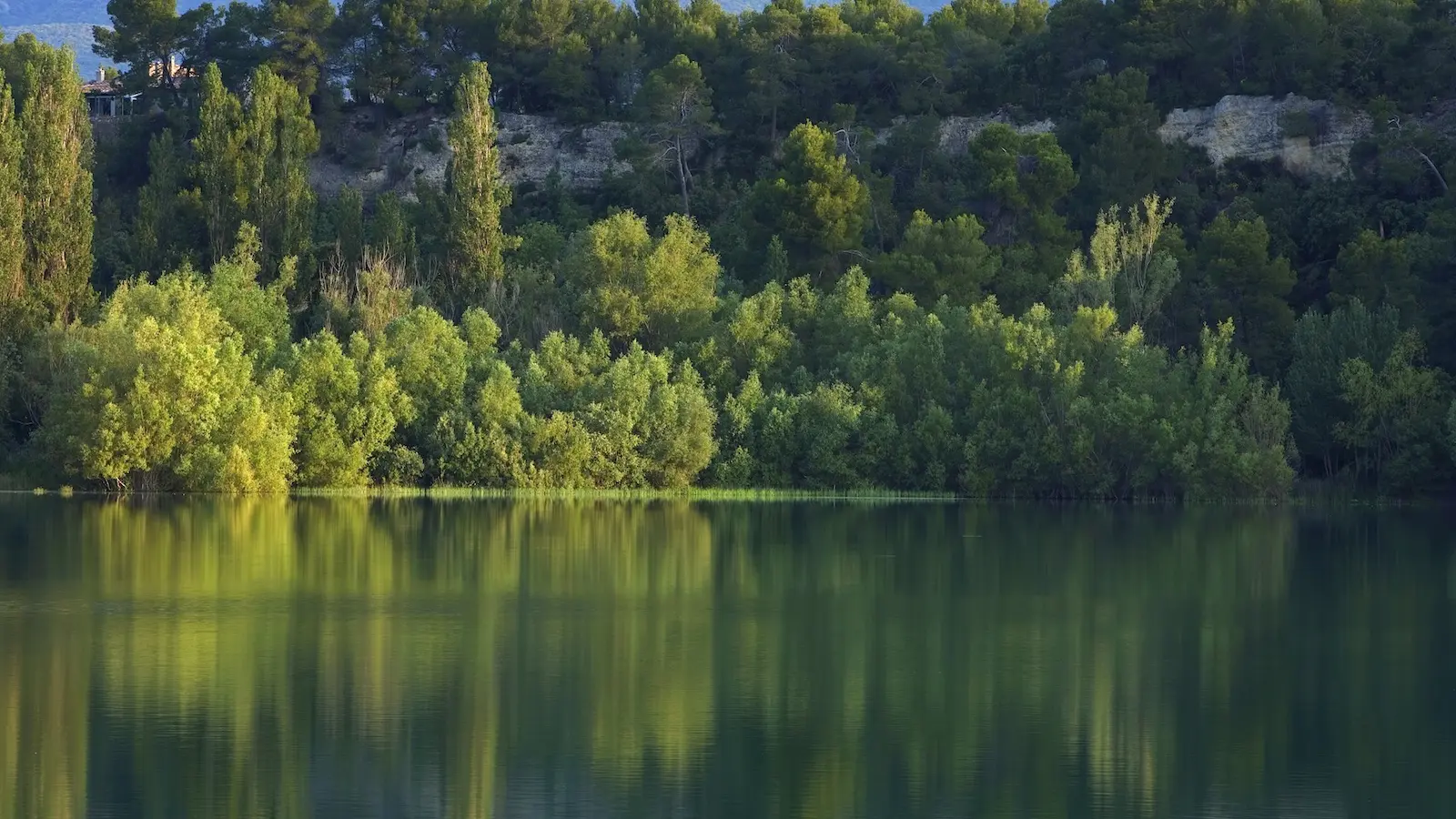 Lac - Baignade