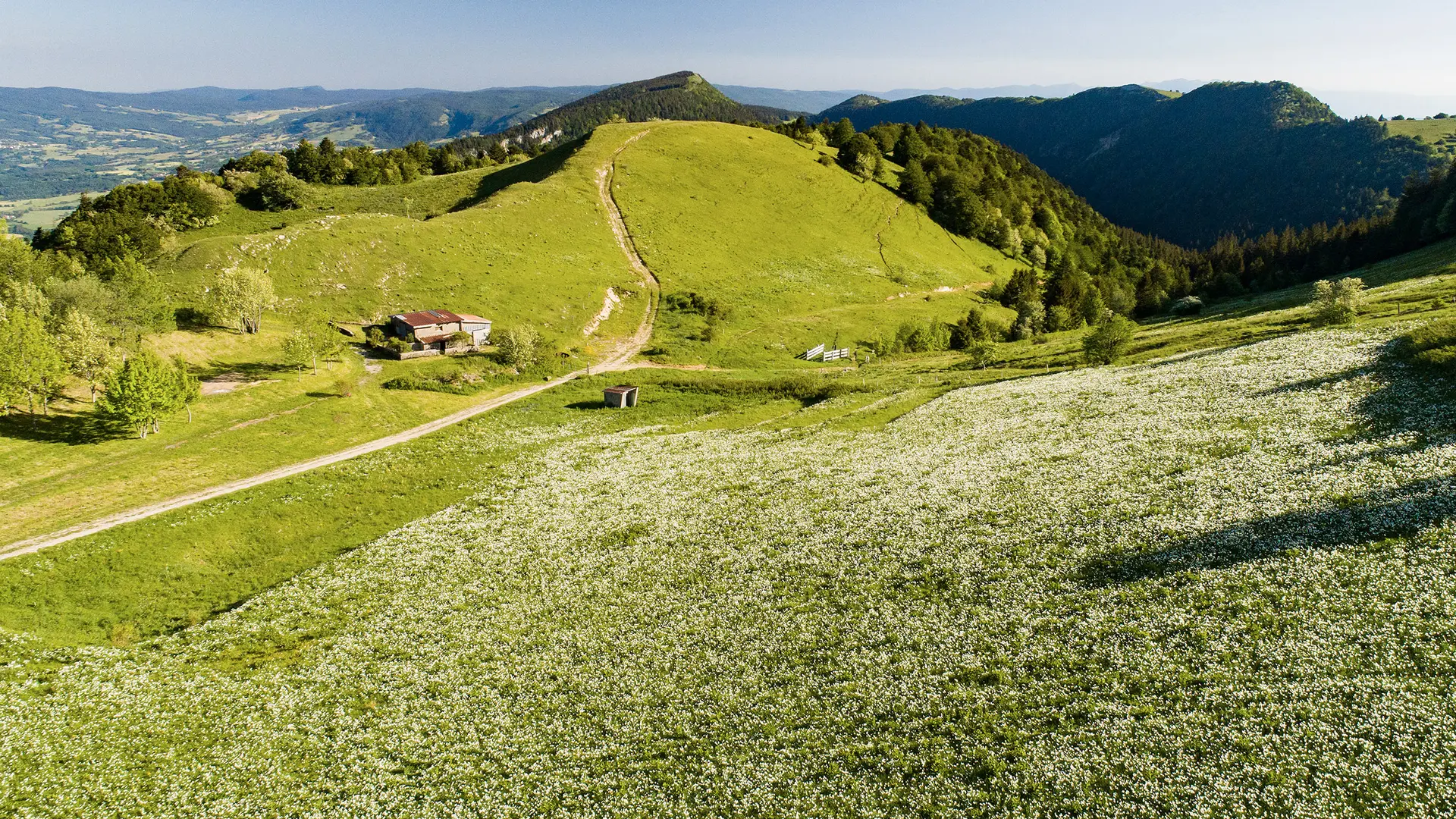 Circuit vélo : Le Grand Colombier et le col de la Biche depuis les Plans d'Hotonnes_Haut Valromey