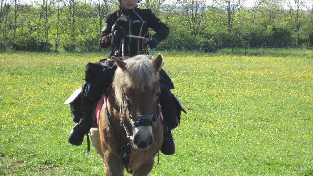 cavalier en séjour à la ferme