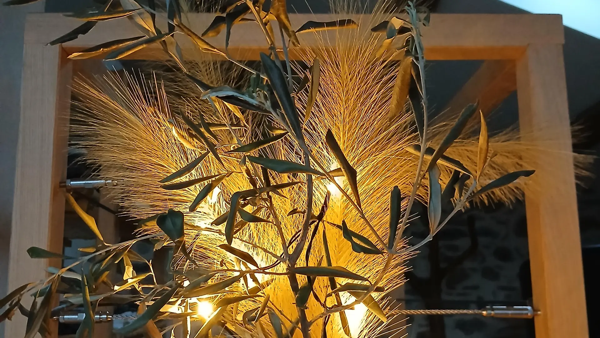 Gîte du Saro_Chabestan