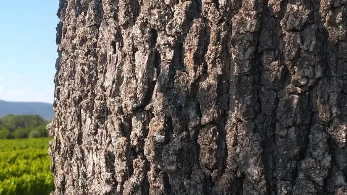 Parcours VTT La Tour d'Aigues
