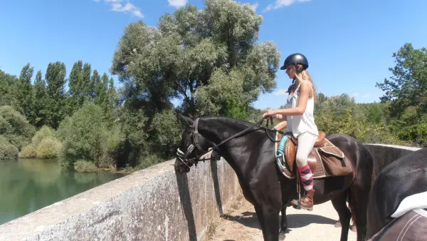 Journée détente à cheval/poney