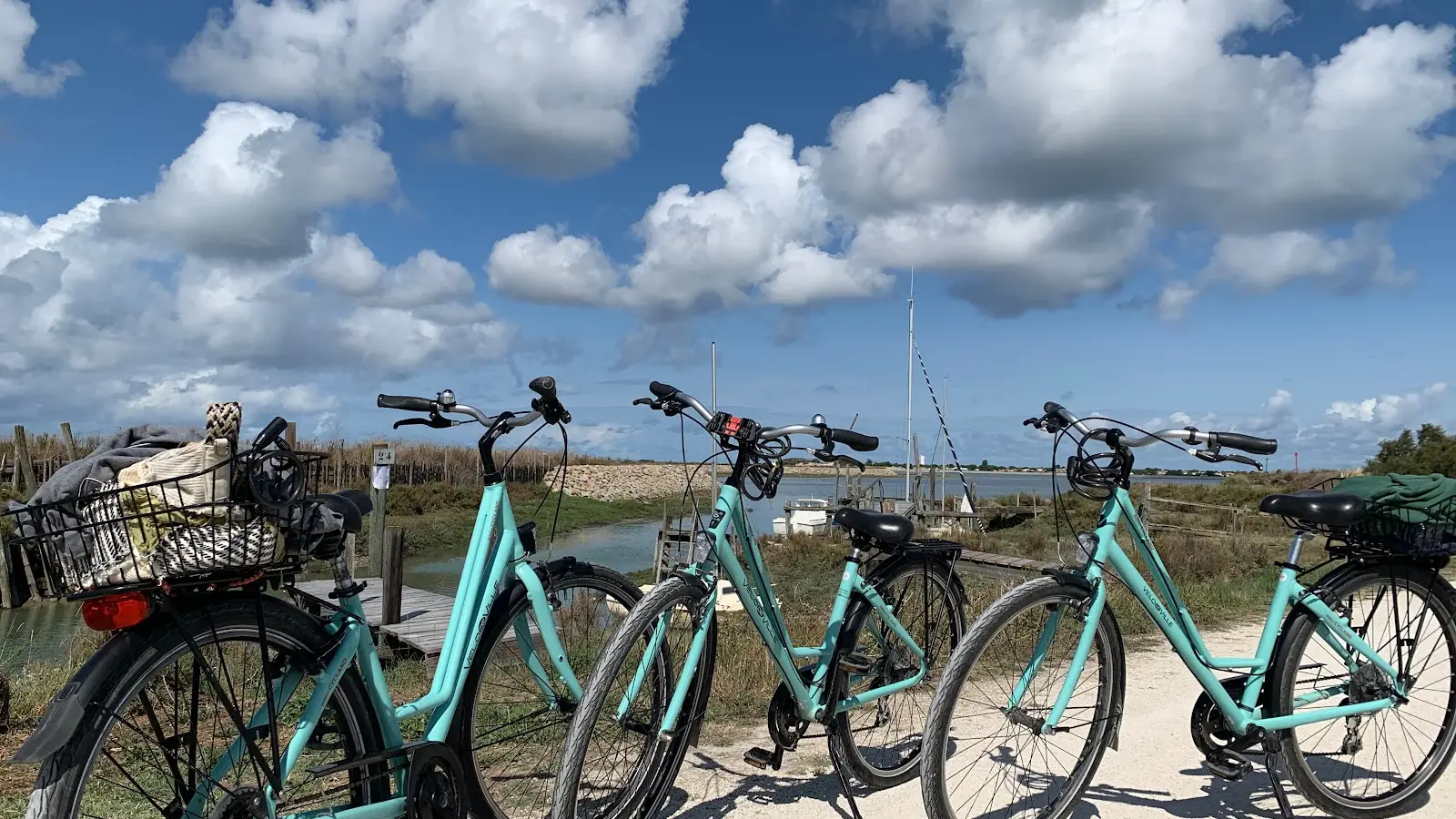 Vélo adulte confort