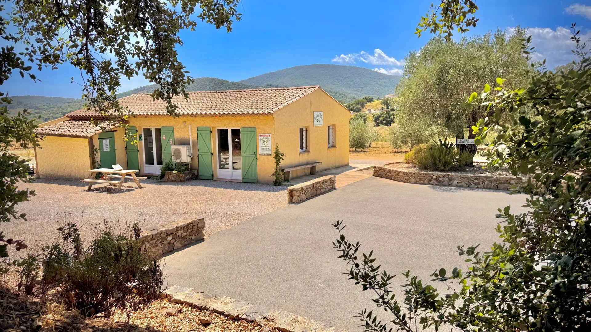 Oliveraie Domaine de La Pierre Plantée