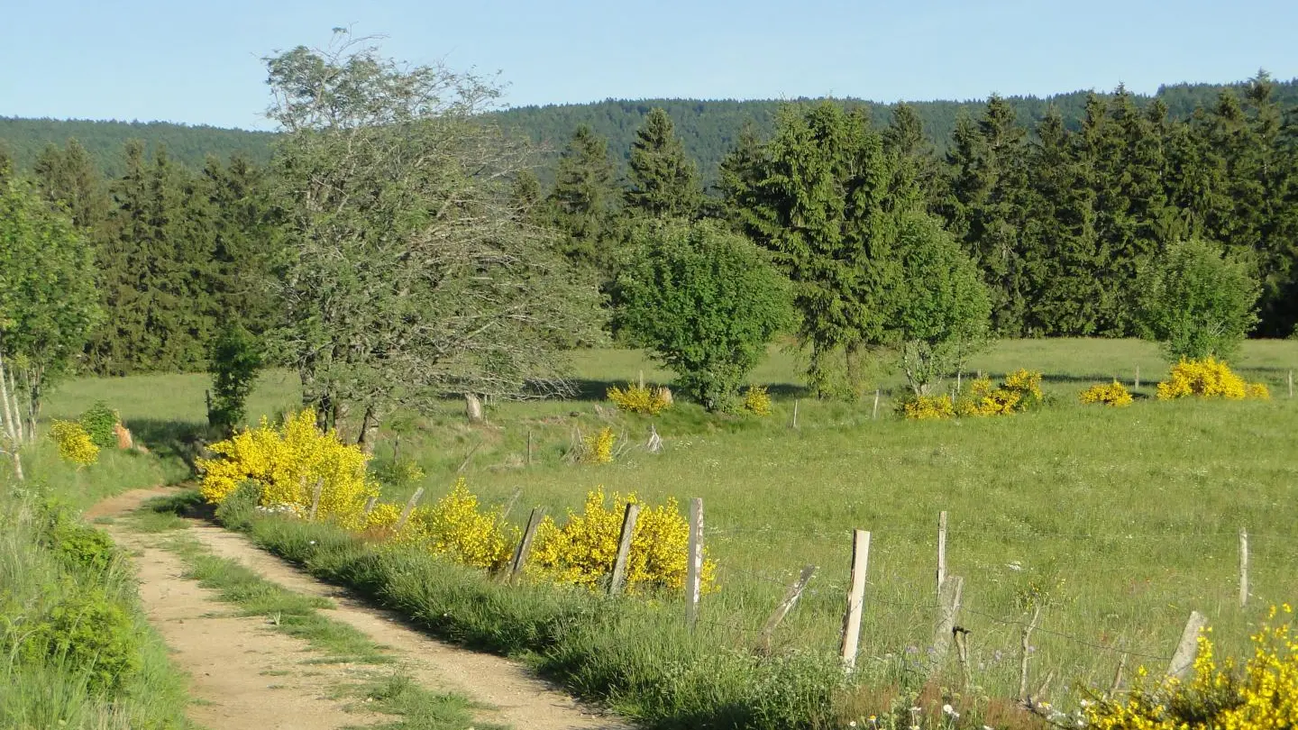 Des ballades agréables au départ de la maison d'hôtes