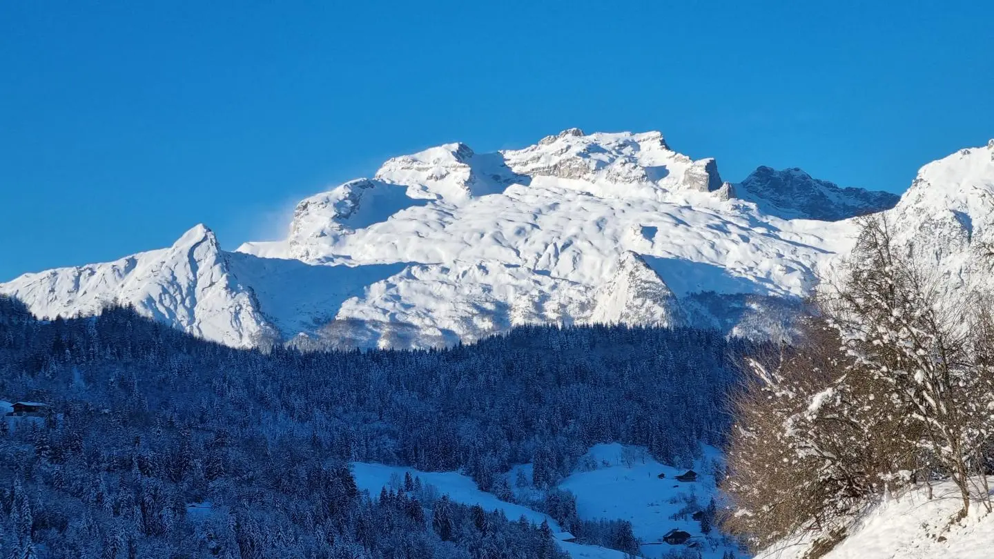 Vue de l'appartement