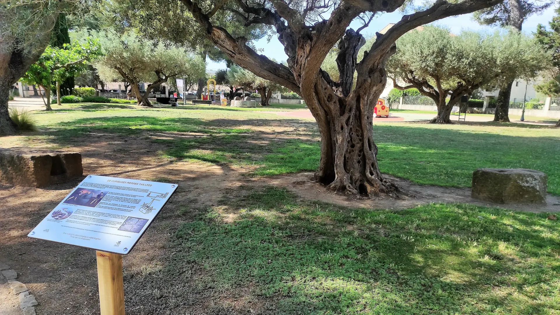 Interprétation des vestiges d'huileries au jardin des Oliviers