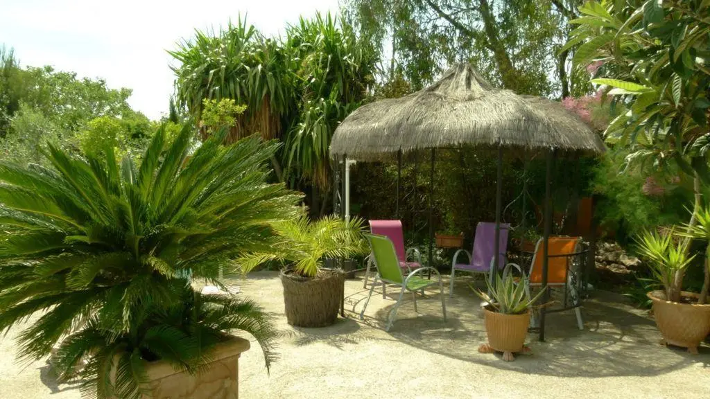 photo10