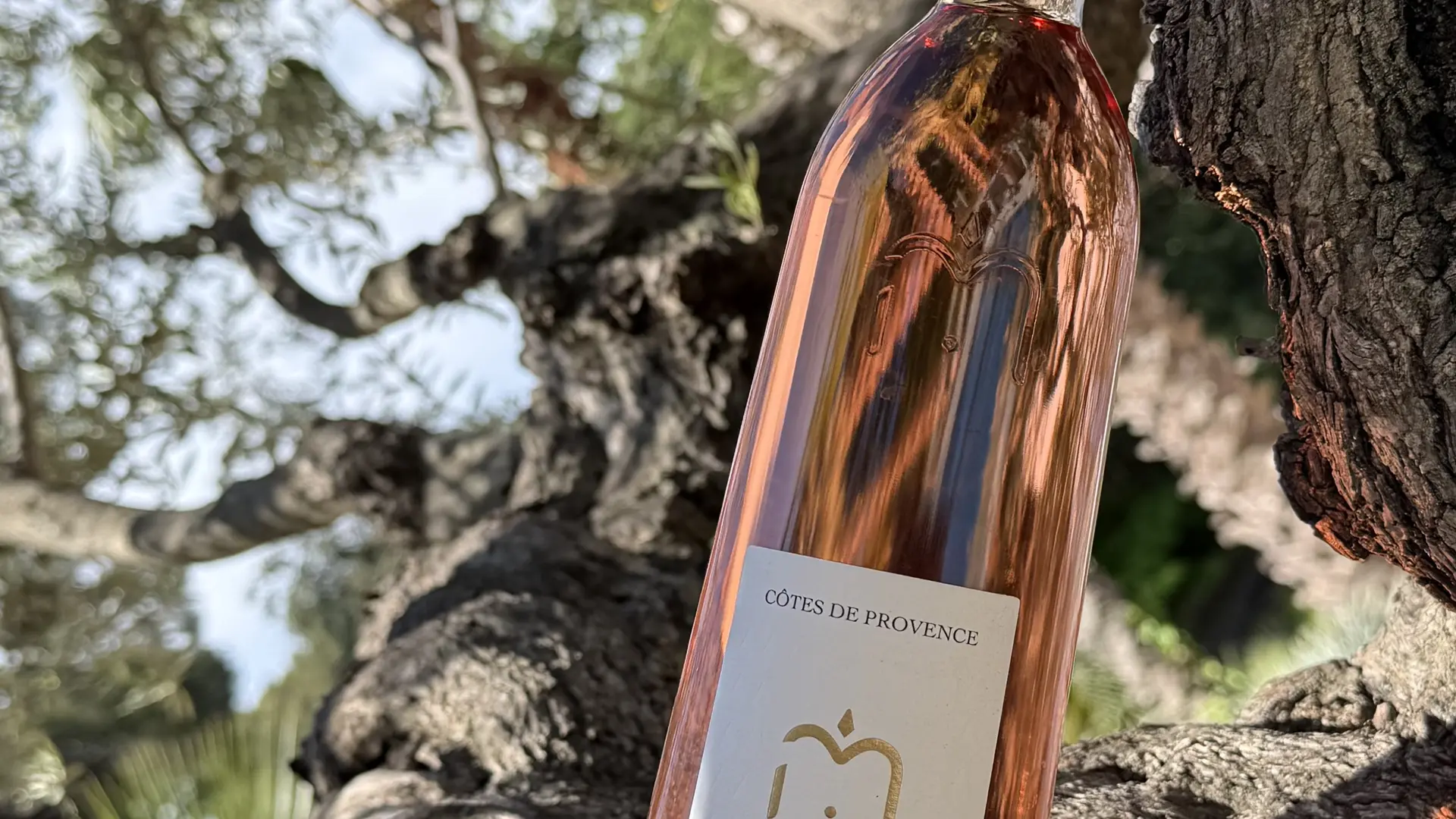 Vin rosé du domaine viticole Matteri - Hyères