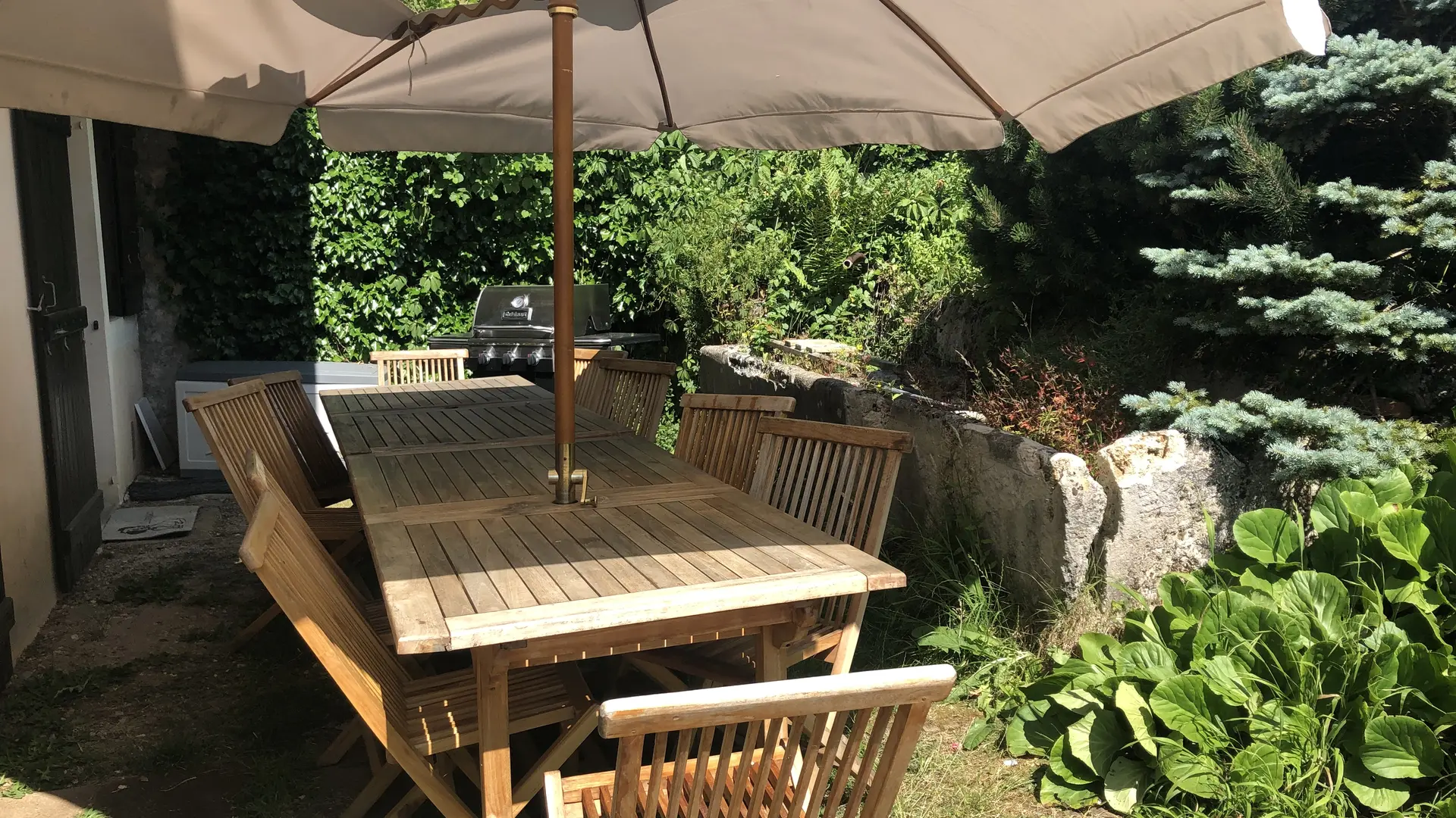 epervier_blanc_haberepoche