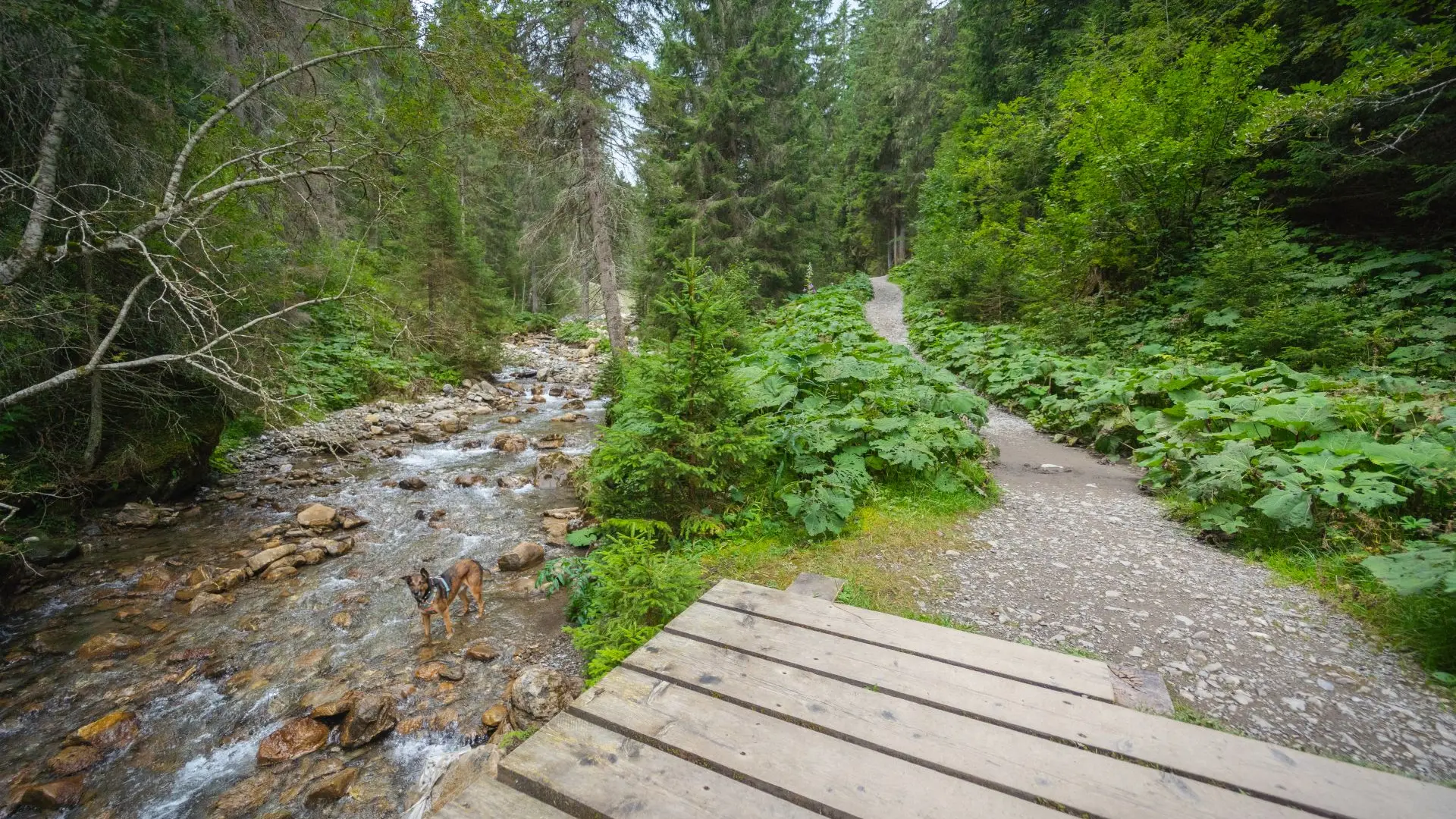 Chemin des ponts