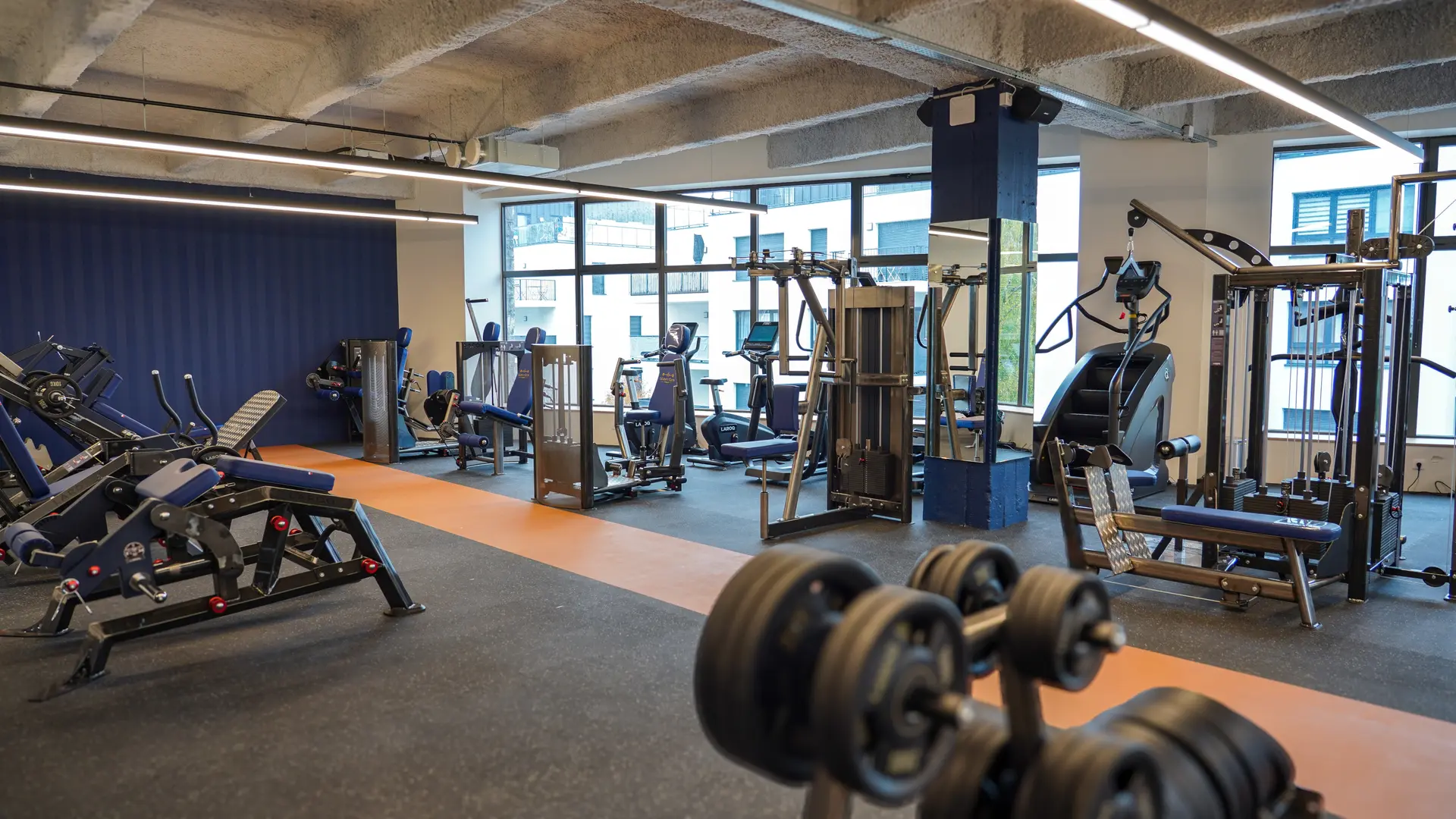 salle de musculation