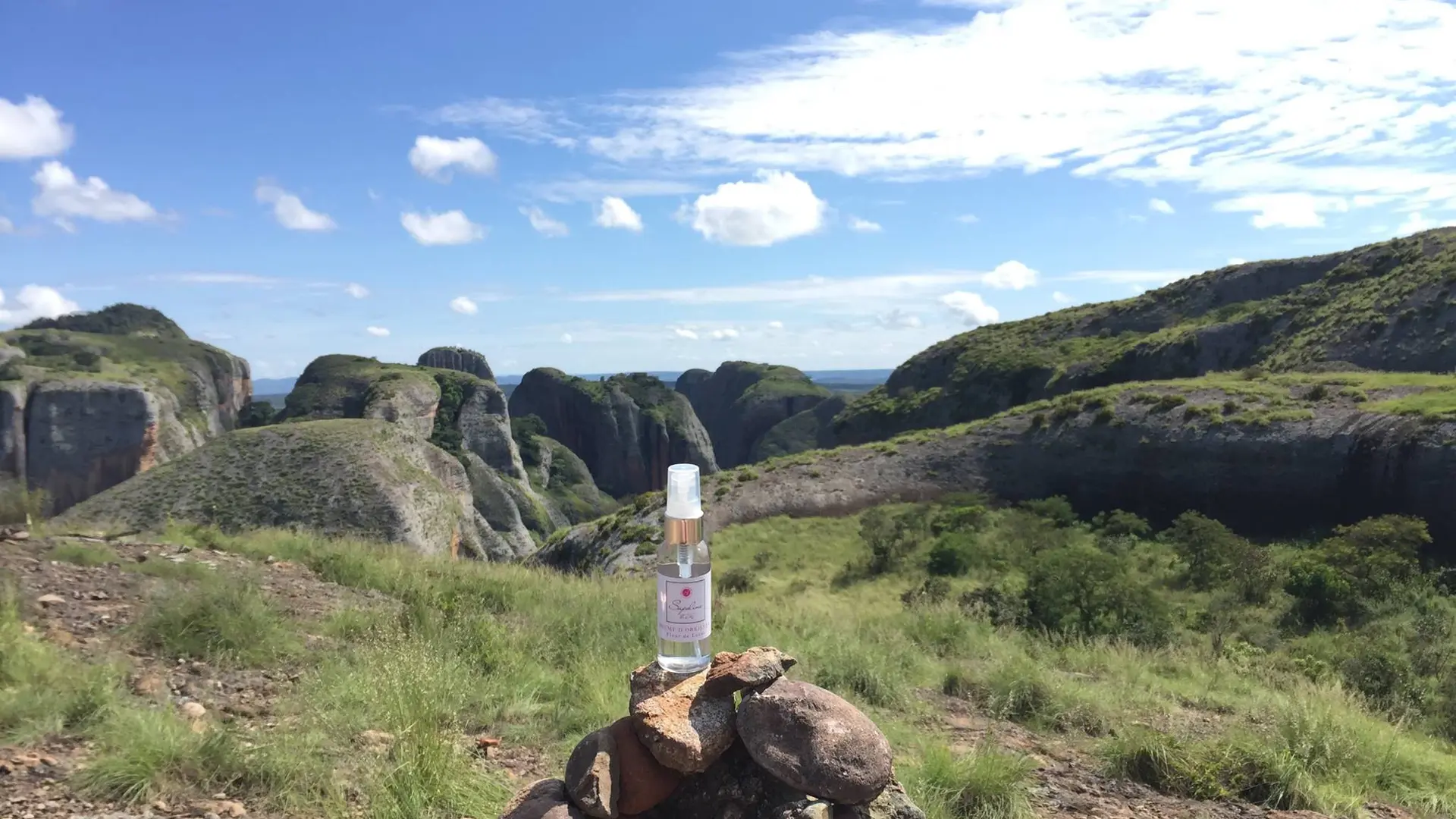 Sapoline dry cleaning