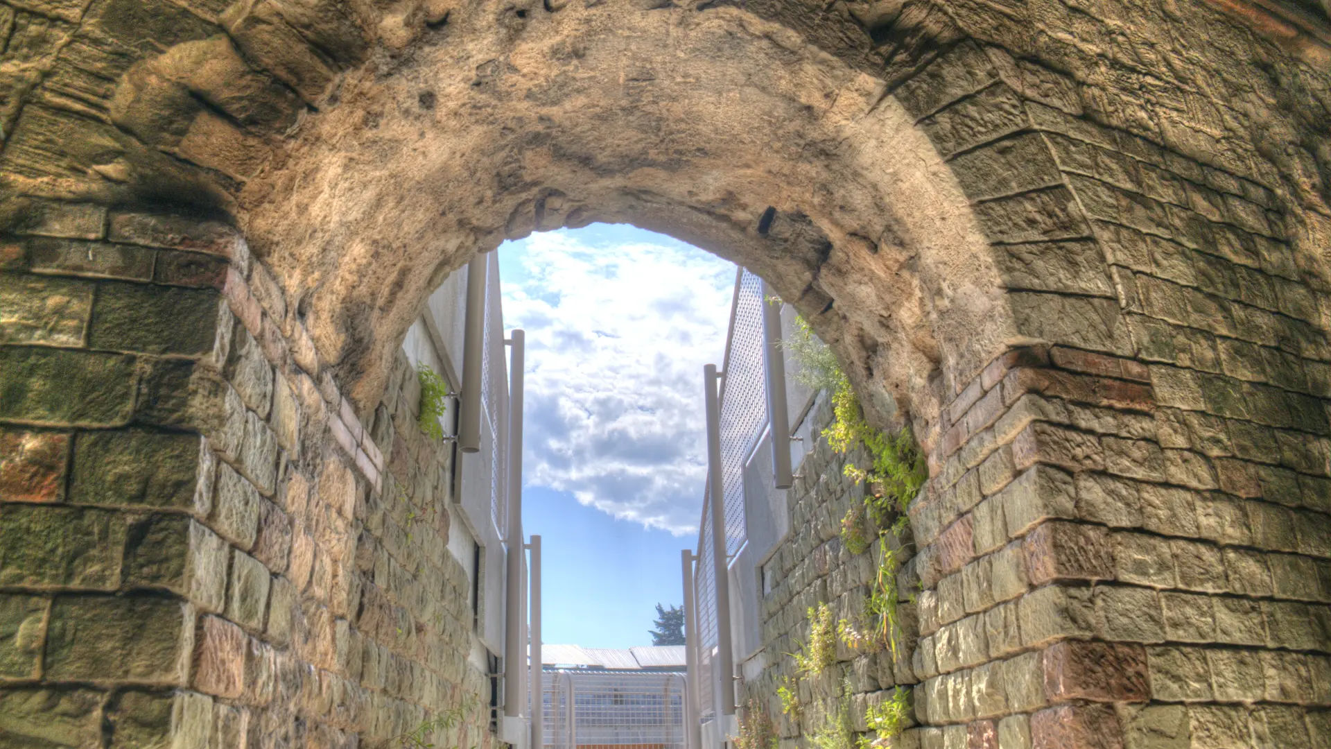 Des romains au parc aurélien_Fréjus