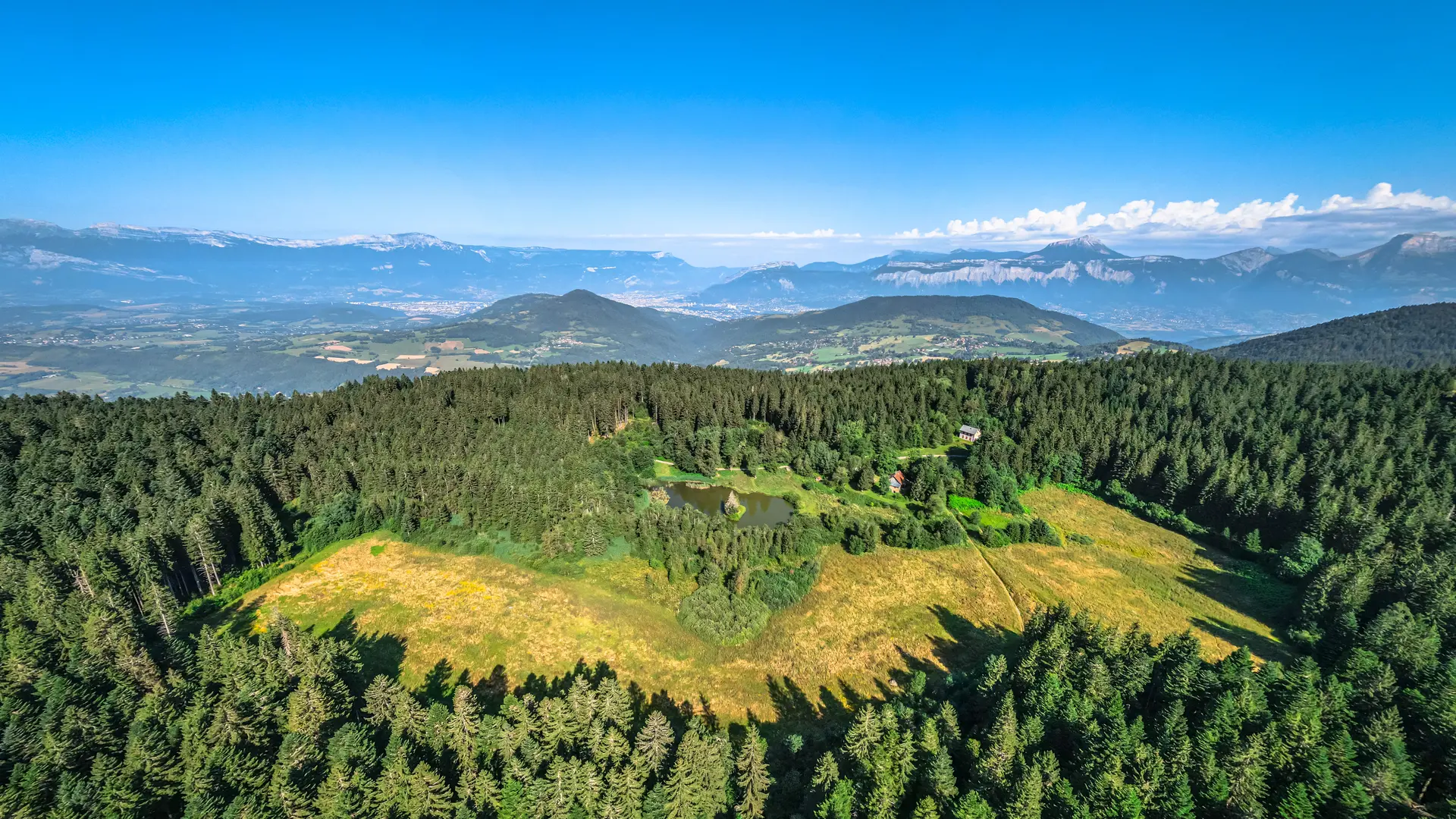 L'image montre une vaste étendue de forêt avec un petit lac au milieu. On peut voir des montagnes en arrière-plan.