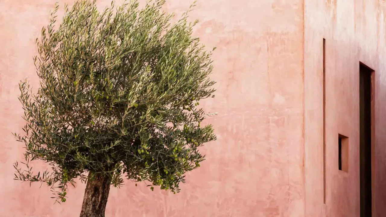 Leandro Marinella Poterie Design