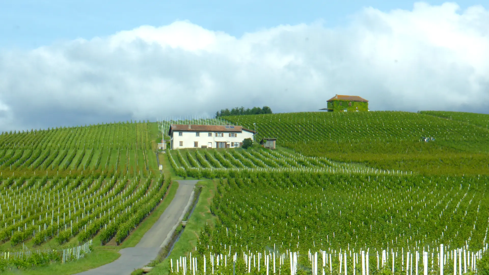 Domaine de Mucelle