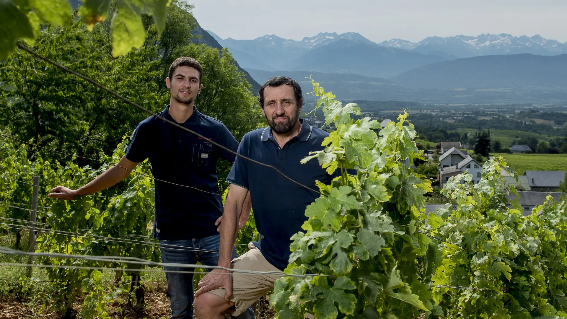 Domaine Claude Quenard et fils