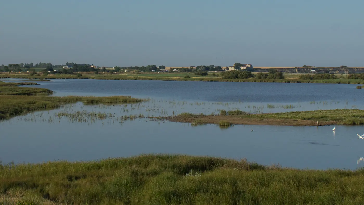 A coastal lagoon, a landscape that has become rare