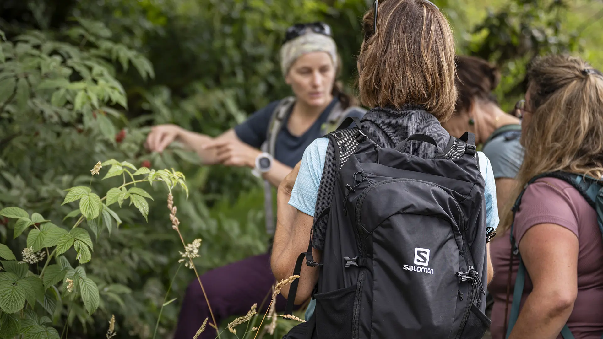 randonnée cueillette des plantes dans la forêt du mont au Grand-Bornand