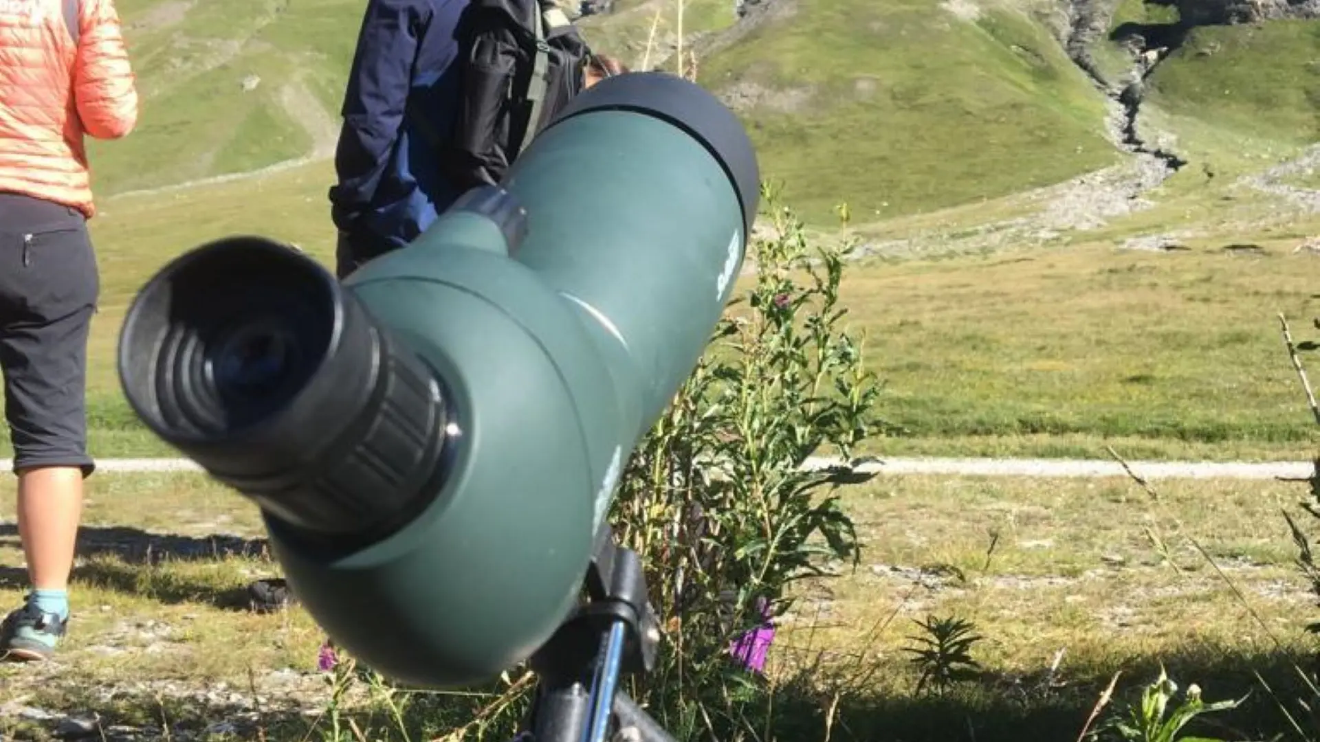 Evolution 2 Sainte Foy