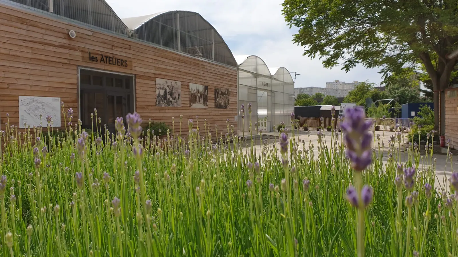 Ferme ouverte de Saint Denis