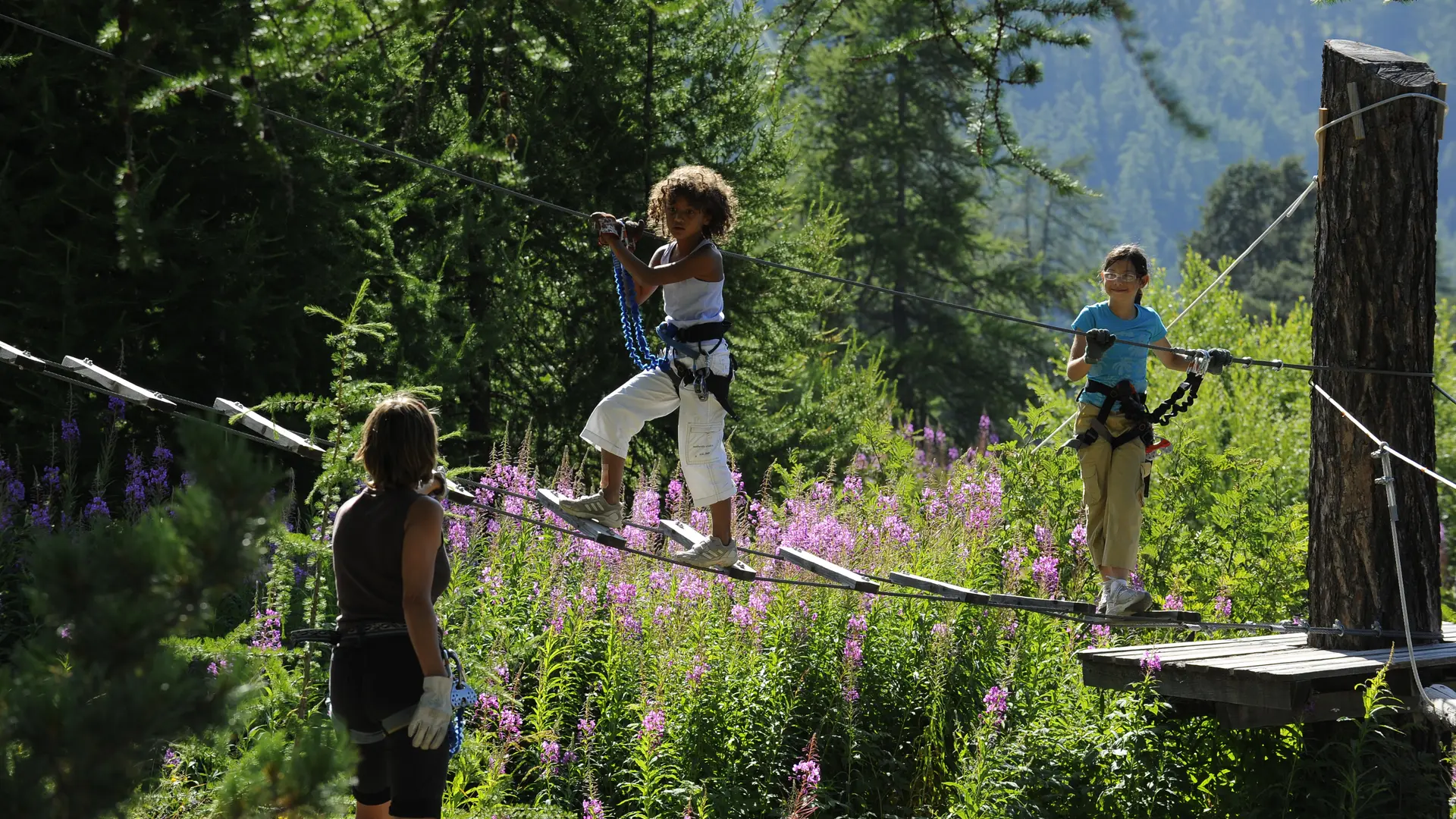 parcours accrobranche